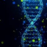 Genetic Analysis Reveals Two Previously Unknown 'Ghost' Human Ancestor Lineages