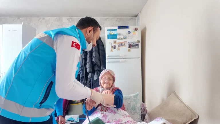 Global Strategies for an Ageing Population: How Nations Are Adapting Care and Housing