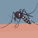 Bangladesh Reports 530 New Dengue Hospitalizations, Zero Deaths in 24 Hours