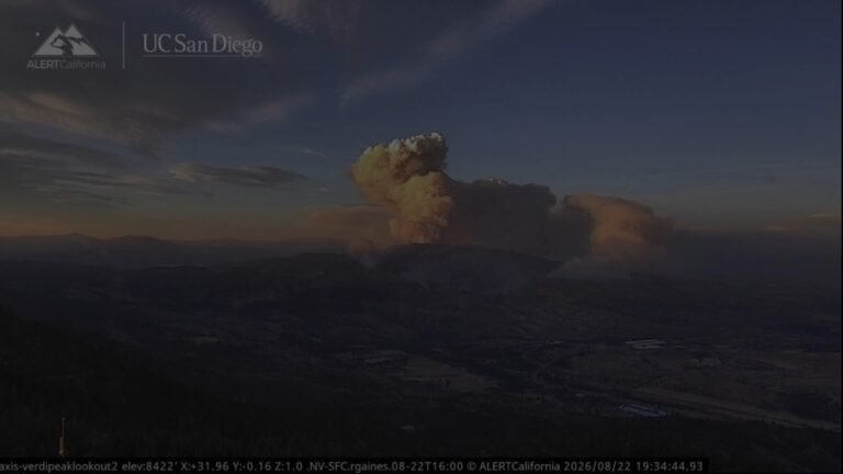 Human-Caused Hawk Fire Triggers Mass Evacuations and State of Emergency Near Reno
