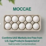 UAE Authorities Confirm Local Egg Supplies Are Safe Following US Salmonella Recall