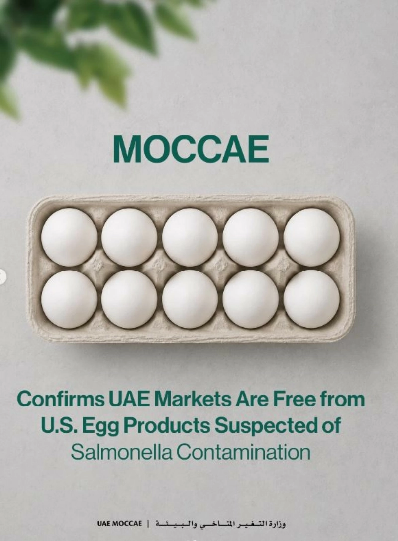 UAE Authorities Confirm Local Egg Supplies Are Safe Following US Salmonella Recall