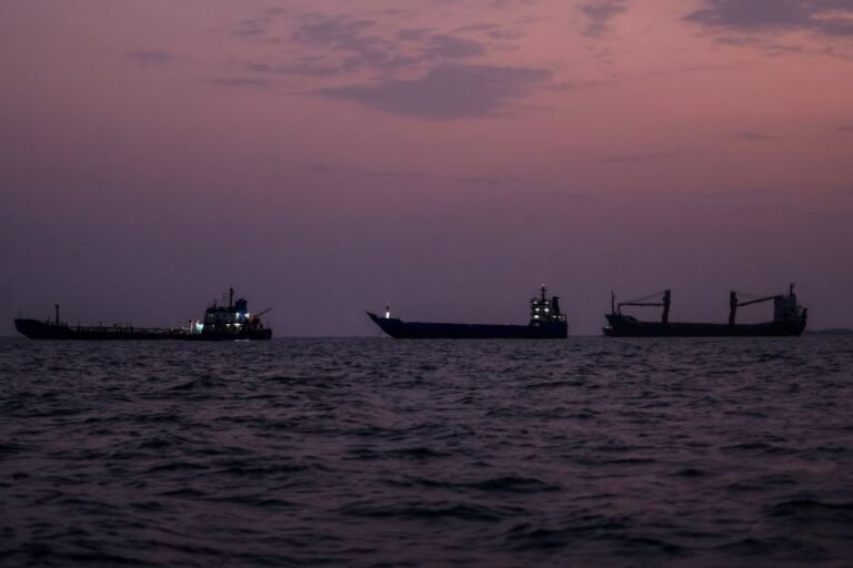 Omani-Led Regional Talks on Reopening Strait of Hormuz Indefinitely Postponed