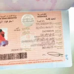 Renowned Singer linked to the case in Dubai Over Alleged Sale of Forty Fraudulent Residency Visas
